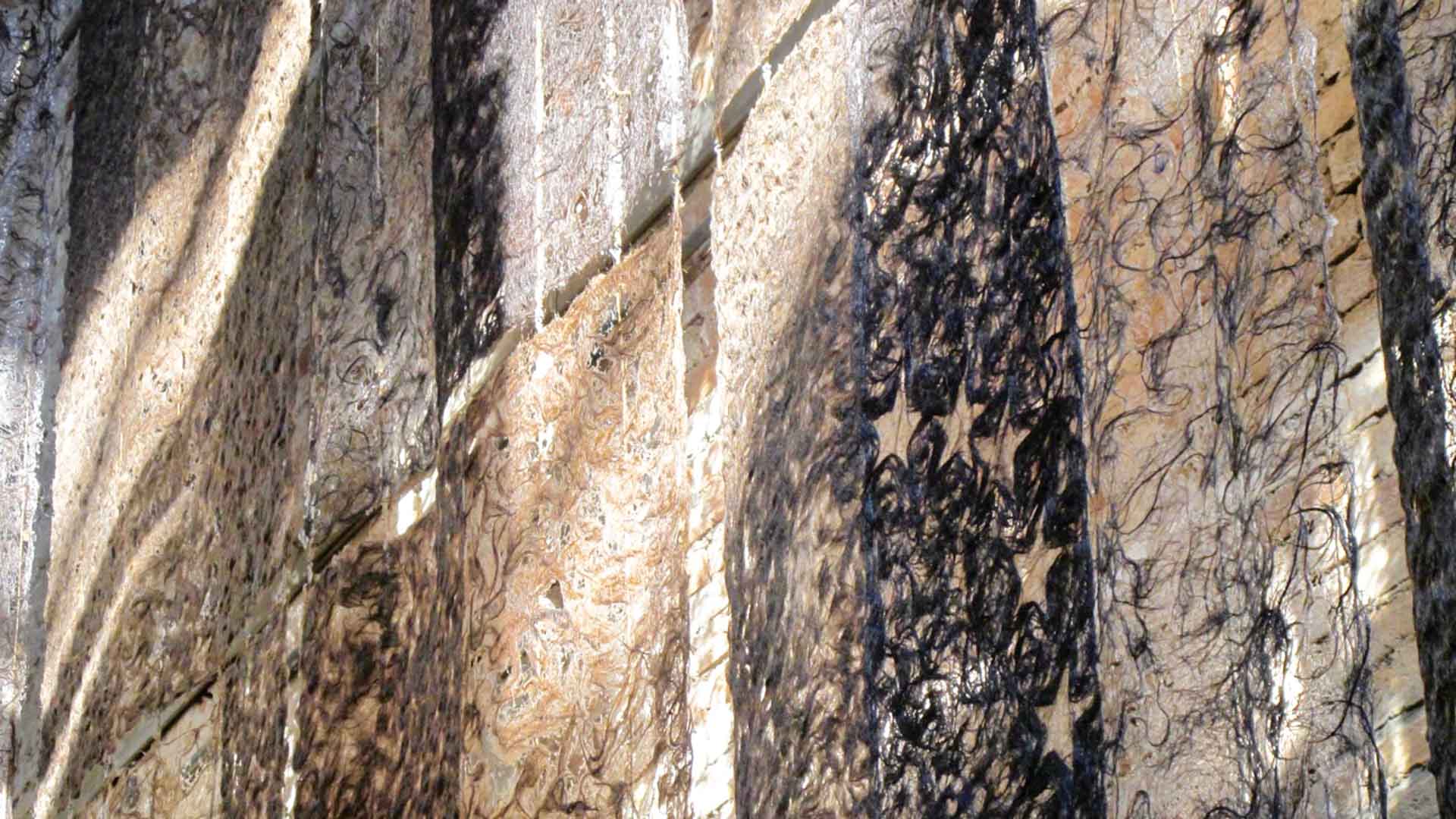 Gedankenübertragung Durch Morphisches Feld Möglich