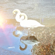 20251226_142535 (1)