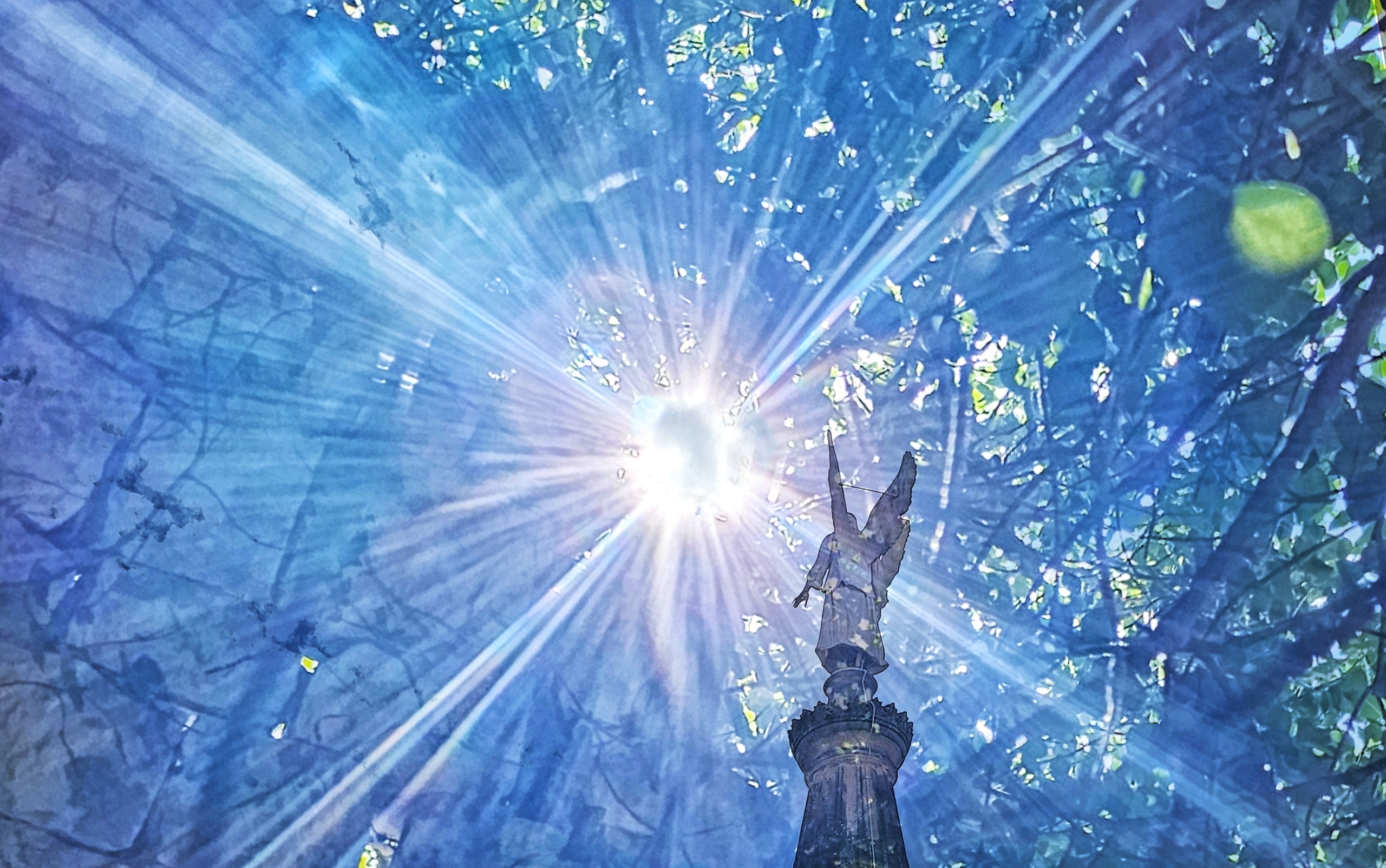 Persönlichkeitsprägung durch morphische Felder